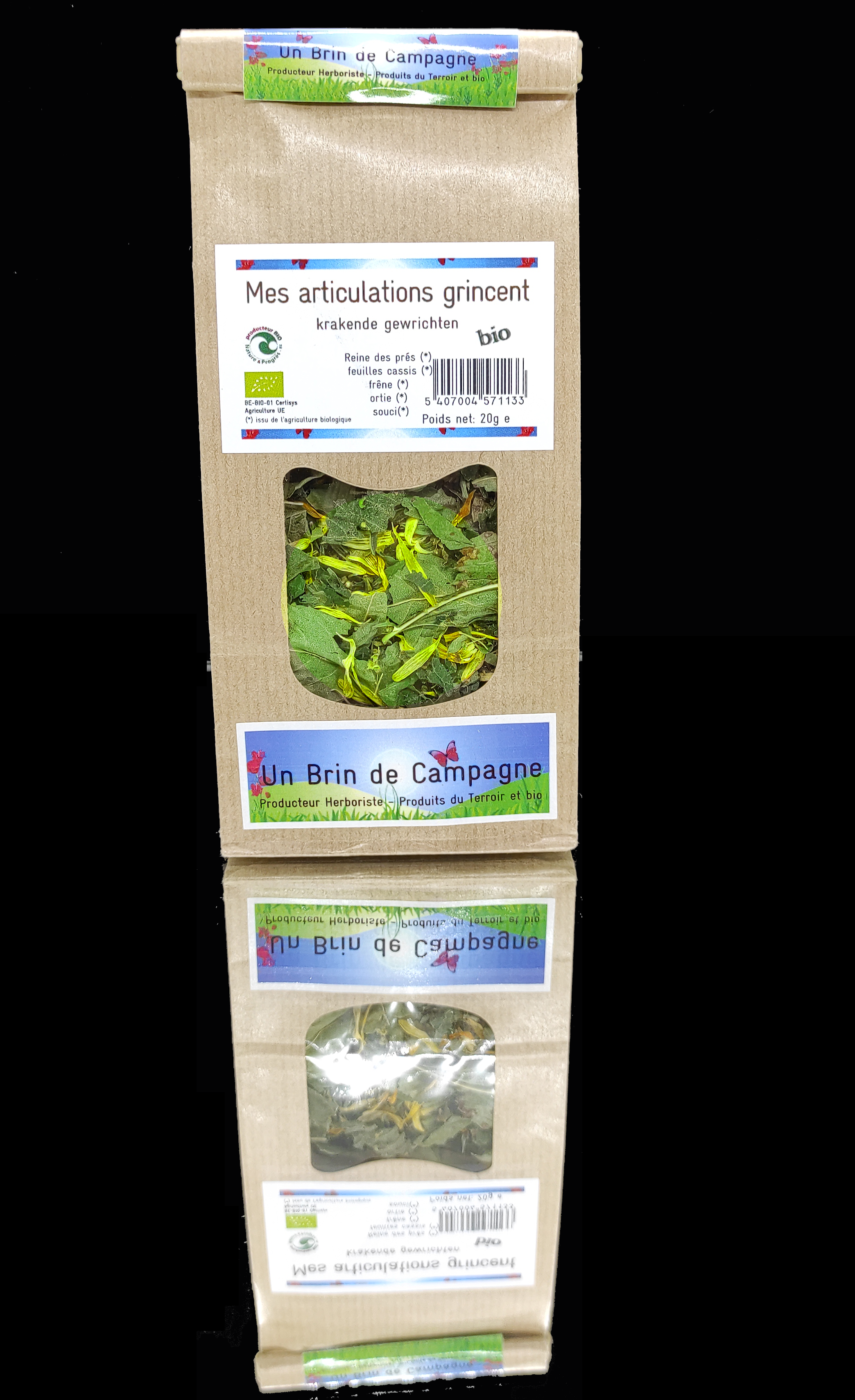 Tisane Mes articulations grincent 